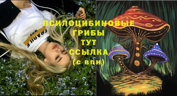 скорость Баксан