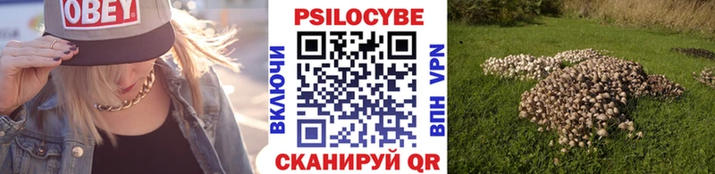 Купить закладки  Пересвет  Псилоцибиновые грибы MAGIC MUSHROOMS 